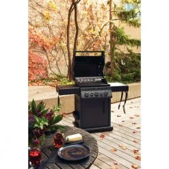 Napoleon Rogue 425 Phantom Special Edition -homeshop Salgsbutik unnamed file 1085