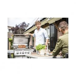 Napoleon Rogue 425 SE - RSE425RSIBPPS-1 -homeshop Salgsbutik unnamed file 1257