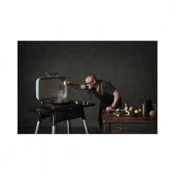Everdure Gasgrill Force II Matsort -homeshop Salgsbutik unnamed file 1609