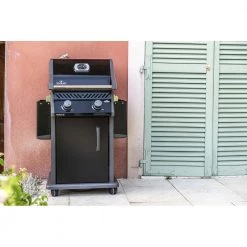 Napoleon Rogue 365 All Black - R365PK-1