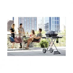 Napoleon TravelQ PRO285 M. Foldbar Vogn Black Gasgrill -homeshop Salgsbutik unnamed file 1932