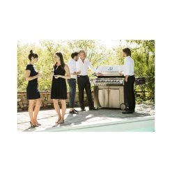 Napoleon Prestige PRO 665 Gasgrill 18 Napoleon Prestige PRO 665 Gasgrill -homeshop Salgsbutik unnamed file 274