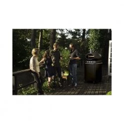 Morsø Jernstøberi A/S Morsø Forno Multi Ovn - Sort 5 Morsø Jernstøberi A/S Morsø Forno Multi Ovn - Sort -homeshop Salgsbutik unnamed file 453